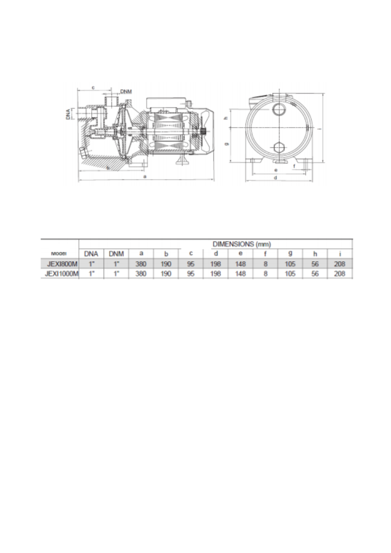 SELF PRIMING JET PUMP WITH PRESSURE CONTROLLER 2 SELF PRIMING JET PUMP WITH PRESSURE CONTROLLER