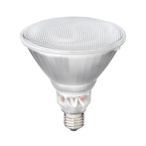 RADIANT 20W ENERGY SAVER