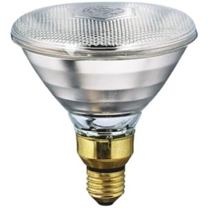 RADIANT 80W HALOGEN FLOOD